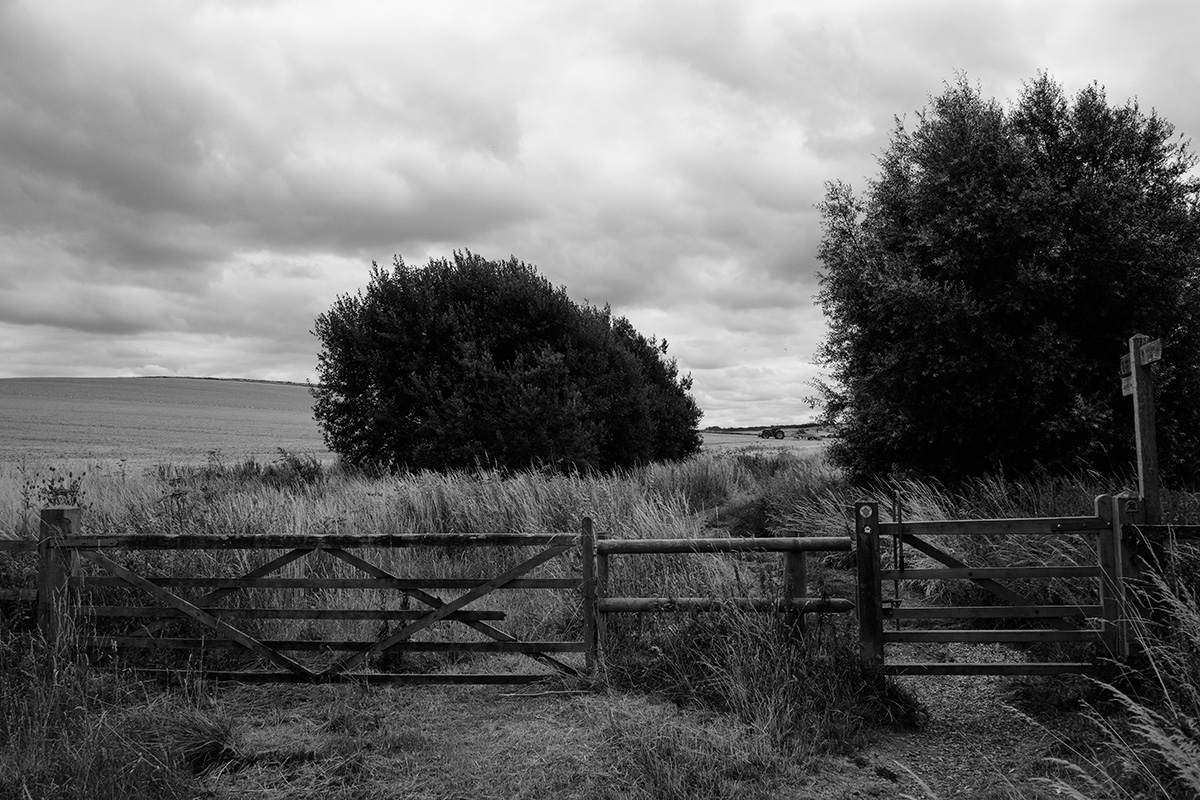Toward Silbury Hill 2 image